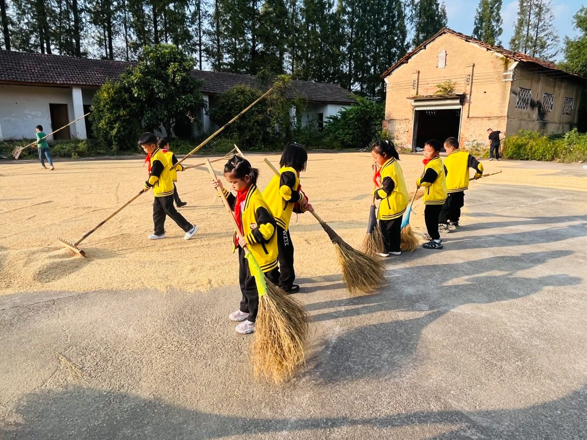 hmrautos's tweet photo. #丰收#晚稻收割忙 https://t.co/n4m81U0iZC