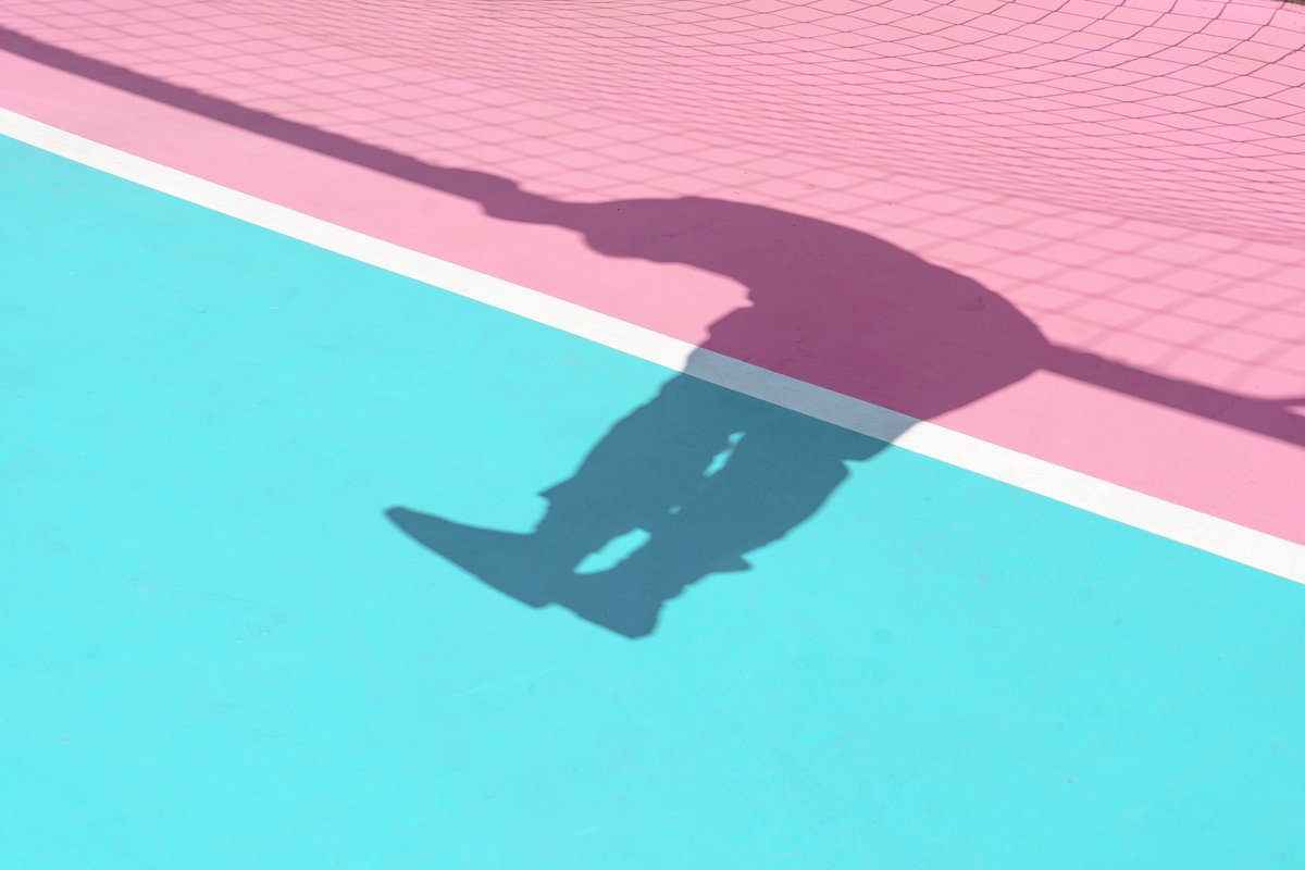 Iristography (the hotdog cat) tweet media