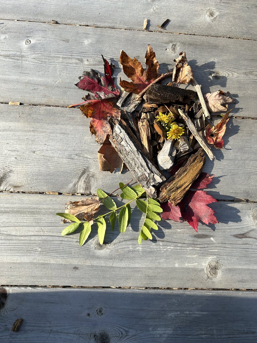 Thank you <a href="/takemeoutside/">Take Me Outside</a>! Ss in Grade 2/3 had a great time using nature to create art inspired by <a href="/GoldsworthyAndy/">Andy Goldsworthy</a>. <a href="/LKDSB/">Lambton Kent DSB</a> <a href="/qesarnia/">@QESarnia</a>