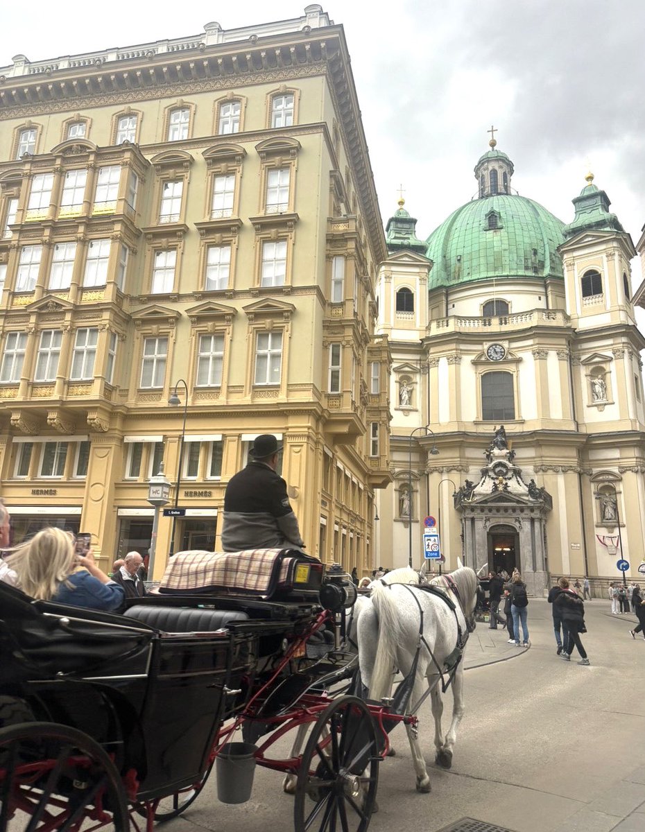 ウィーン旧市街　

シュテファン大聖堂　グラーベン通り　馬車　石畳…とても美しく、どこもが絵になる感じでした🖼️

#オーストリア#ウィーン##海外旅行#街歩き#旅行好きな人と繋がりたい