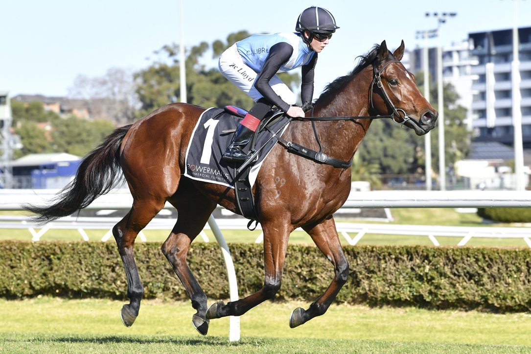Racing NSW (@racing_nsw) on Twitter photo “I was very happy with him first-up and we’re on track for a Four Pillars campaign."
Epicus, Oakfield Arrow & Oakfield Waratah are being tested for next month's $500,000 race by trainer Kristen Buchanan at Randwick on Saturday. 📸 <a href="/Bradley_Photos/">Bradley Photos</a>
READ: bit.ly/3M8tpGh “I was very happy with him first-up and we’re on track for a Four Pillars campaign."
Epicus, Oakfield Arrow & Oakfield Waratah are being tested for next month's $500,000 race by trainer Kristen Buchanan at Randwick on Saturday. 📸 <a href="/Bradley_Photos/">Bradley Photos</a>
READ: bit.ly/3M8tpGh