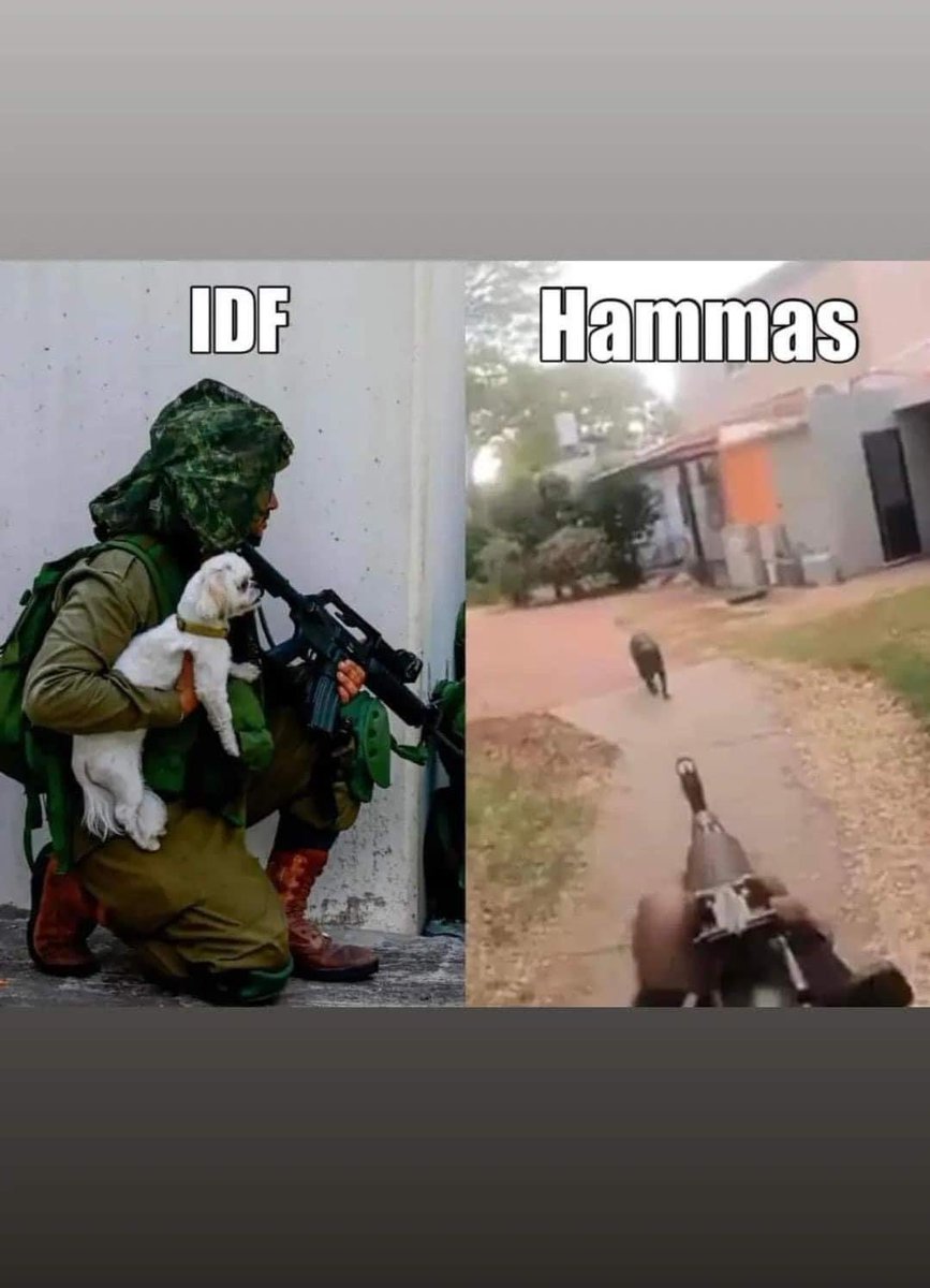 #Hammas treats dogs the way they treat humans. See the difference between them and the #IDF ? #Israel #Israel_under_attack #IsraelHamasWar