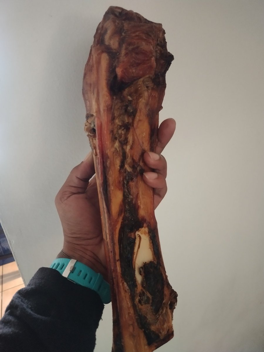 jxmason's tweet photo. #BiggerCage #BeefBone #Treats #TrickOrTreat #HappyHalloween #Pitbulls #PitbullAwarenessMonth https://t.co/WWby2tL0gp