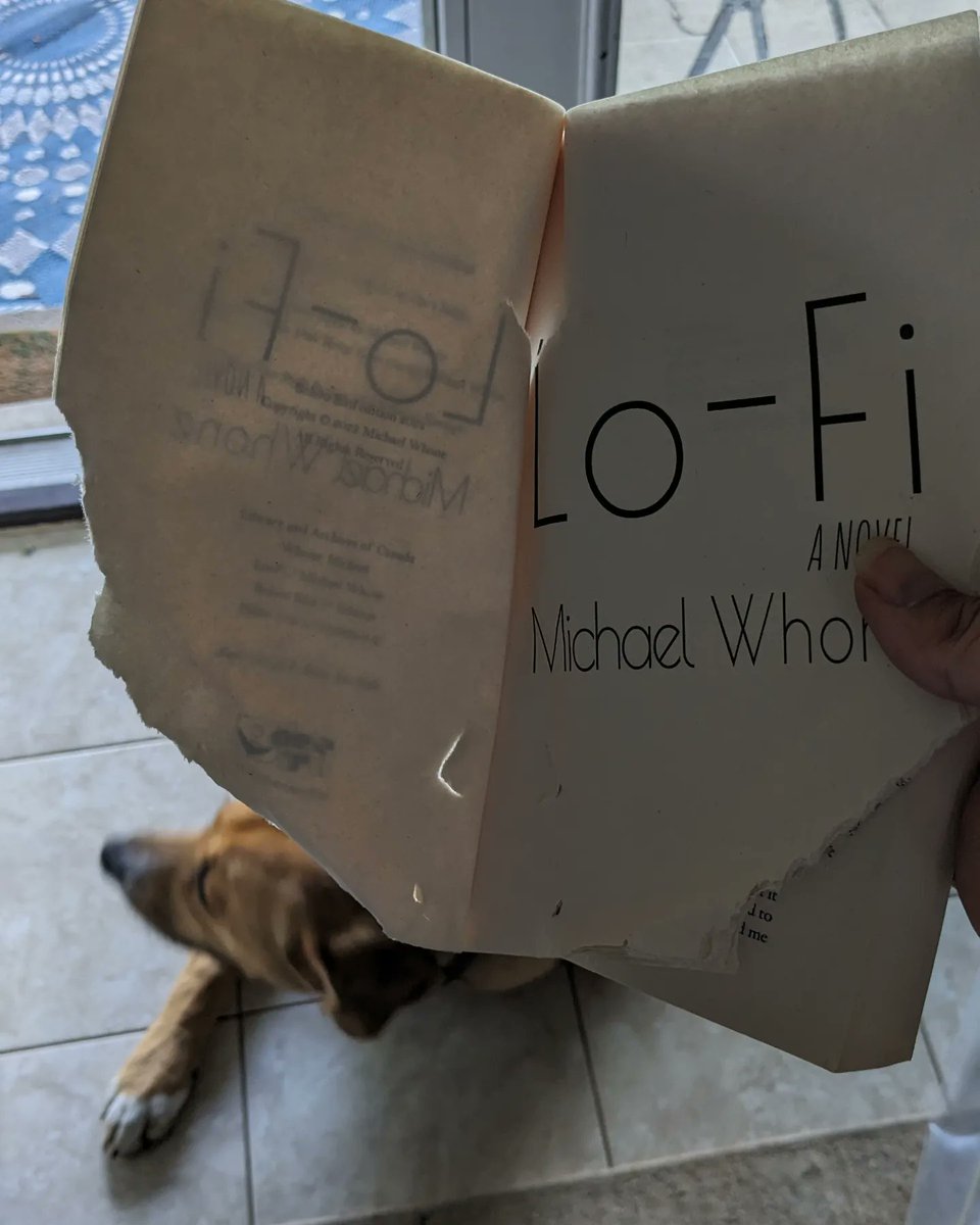 whoneranger's tweet photo. A few weeks ago my girlfriend's dog ate her copy of my new book. I'm glad, because if she read it, she'd probably leave me. https://t.co/Zp3BVyVdhL