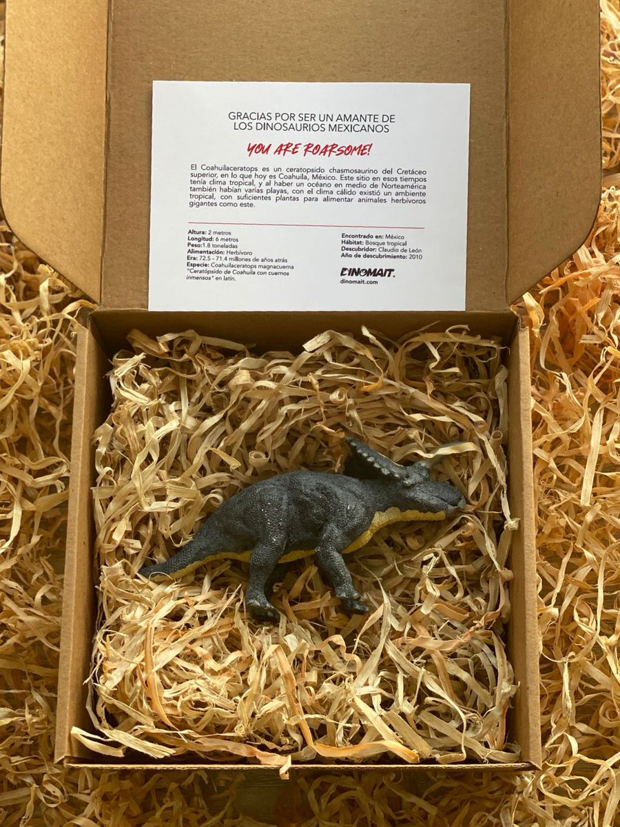 Mexican dinosaur toys new brand, our new Coahuilaceratops toy. Ask here for your toy!!! #coahuilaceratops #toys #paleontology #juguete #triceratops #paleontologia #extinct #animals #horned #mexico #original #art #reptile #dinosaur #sauropsida #foryou