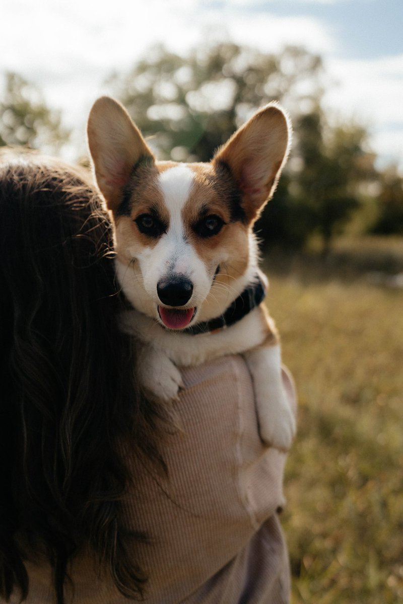 jami__nelson's tweet photo. I think I forgot this app existed 
-
Me &amp; Buster had some photos done a couple weeks ago 🥰
I can’t believe my baby is almost 9 months old 🥺 these last 6 months flew by! https://t.co/6NRBxtmLkg