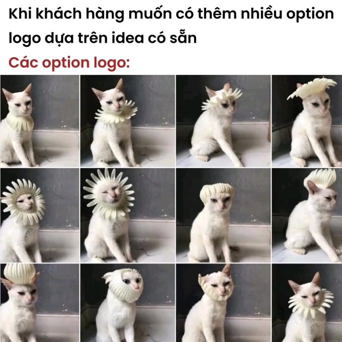 DNPHETHONGDIEN's tweet photo. https://t.co/6TEDsqVmwV