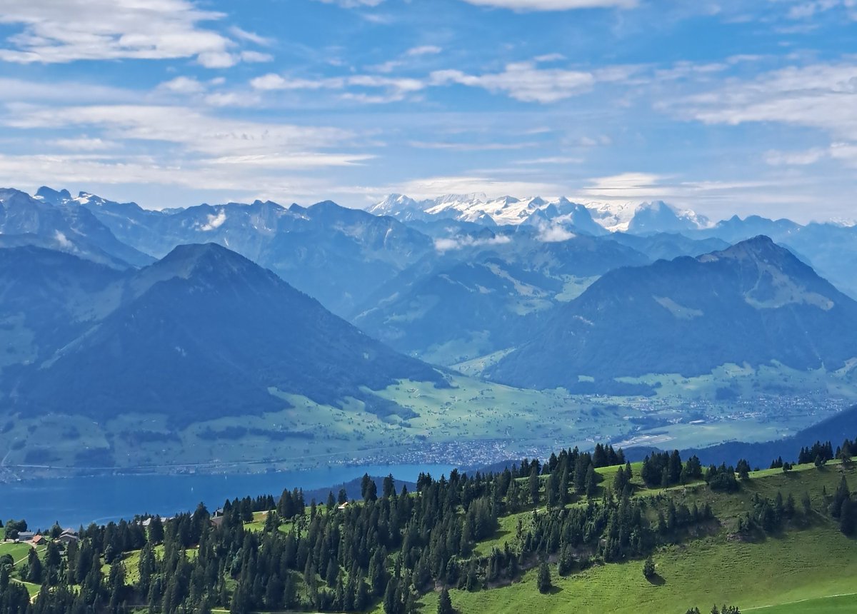 Guten Morgen Twitterleins. 

Habt einen schönen stressarmen Donnerstag, lasst euch nicht ärgern und macht das Beste daraus. 
Kaffee?!