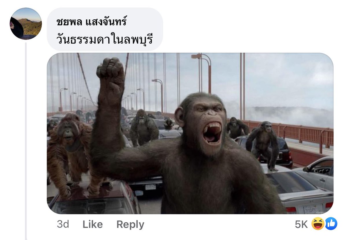 aoomtom's tweet photo. แล้วลพบุรี 
มีม                             เรื่องจริง https://t.co/C9j0tck6Dk