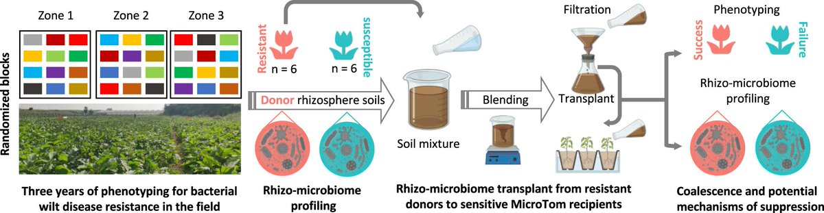 Gaofei JIANG tweet media