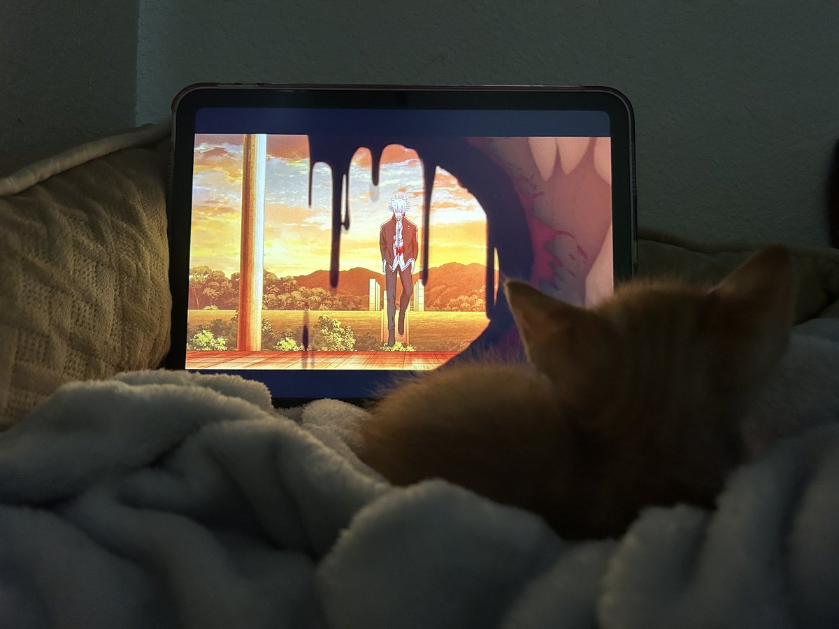 jenidrowsy's tweet photo. kitty likes anime too 🤍 https://t.co/NV2yYT5lOh
