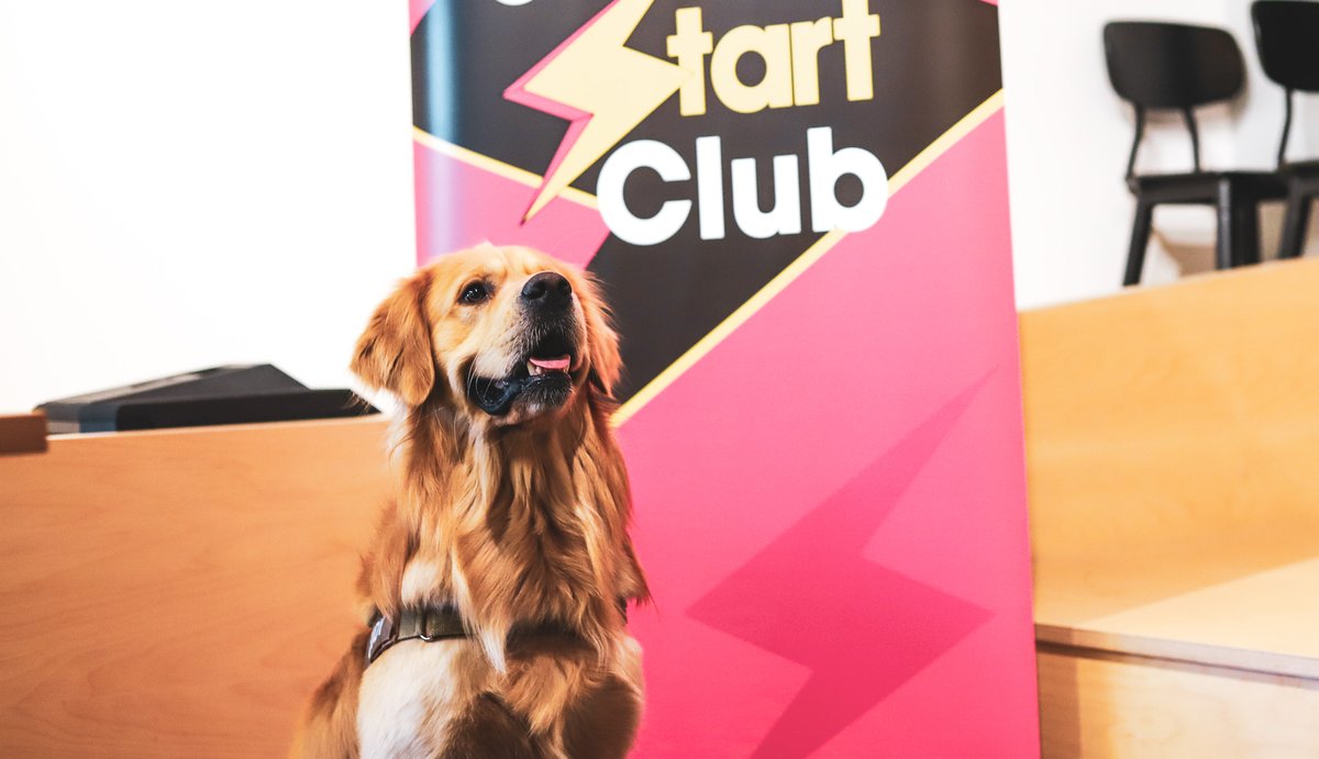 Another #StartClub workshop this morning with <a href="/LuminaX_acc/">LX Health</a> Director, <a href="/drenxerxa/">dren xërxa</a> and Elliot Miller the founder of <a href="/Hearoesapp/">Hearoes</a>💡

We talked about all things pitching and road mapping your startup for success🚀

#MiniAcccelerator #EarlyStage