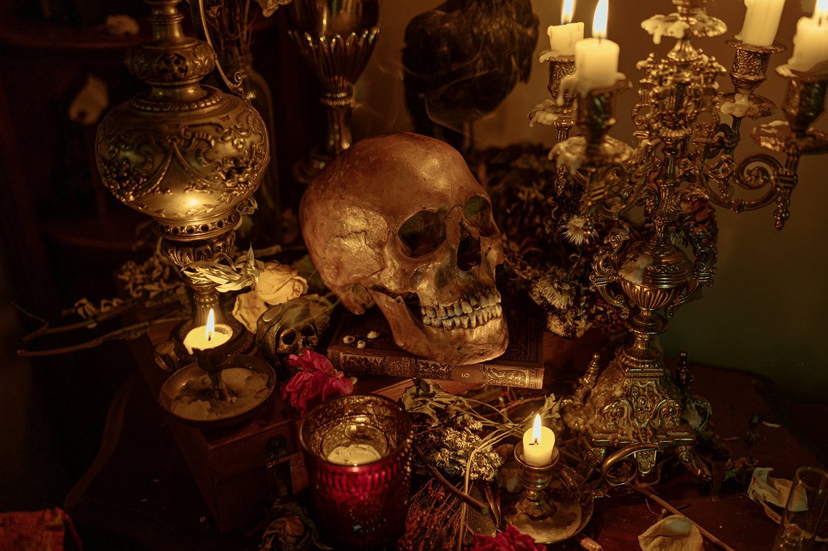 I bought a human skull.💀