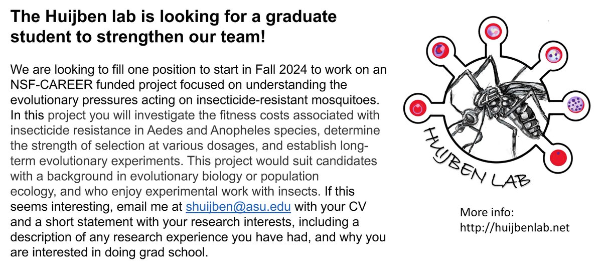 Silvie huijben (@silviehuijben) on Twitter photo I'm looking for a #PhDStudent to work on insecticide resistance management in #mosquitos on an NSF funded grant. I'd love to hear from any driven, critical, independent individuals out there looking for a challenge. Email me if interested at shuijben@asu.edu. Please share! I'm looking for a #PhDStudent to work on insecticide resistance management in #mosquitos on an NSF funded grant. I'd love to hear from any driven, critical, independent individuals out there looking for a challenge. Email me if interested at shuijben@asu.edu. Please share!