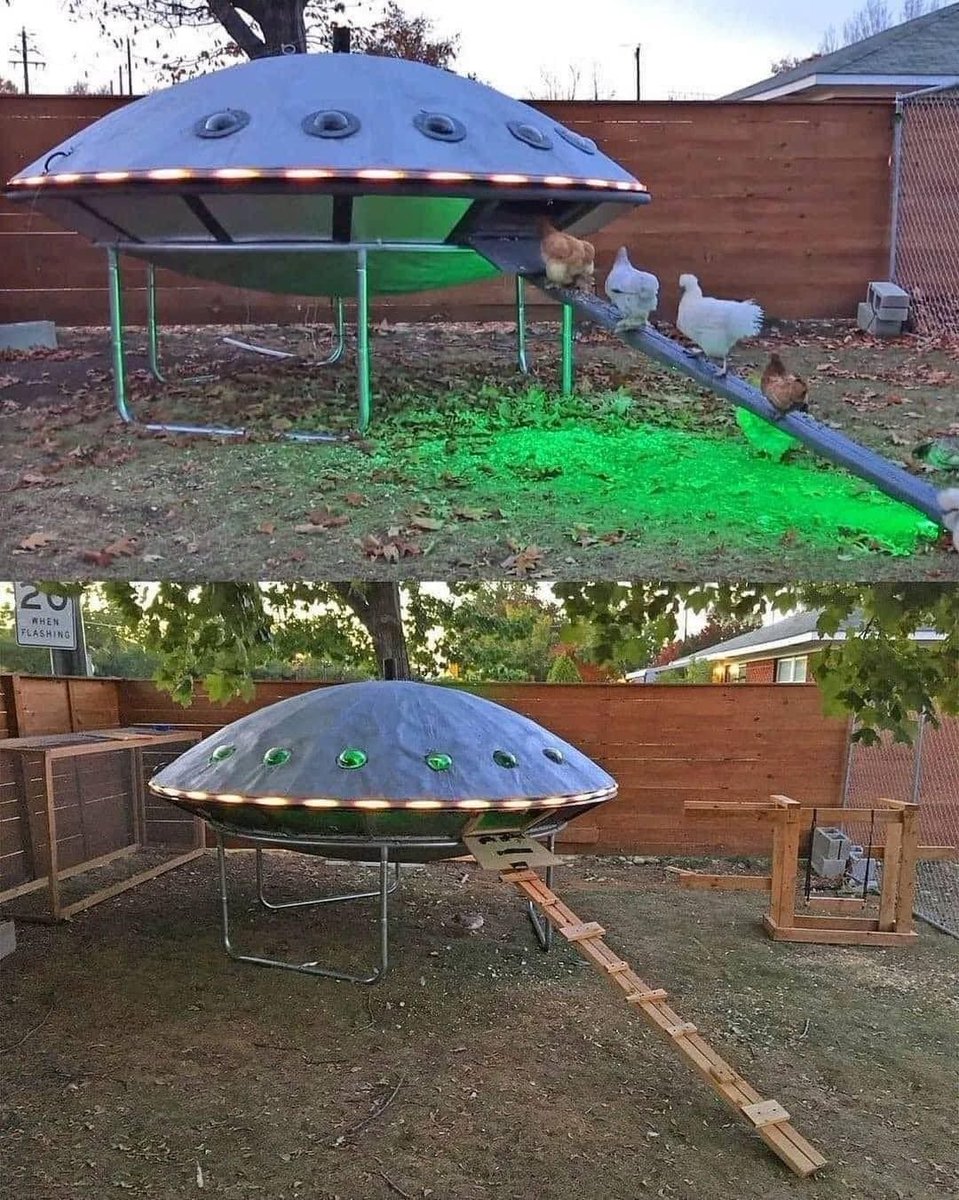 A UFO shaped chicken coop made from an old trampoline base and two old larger satellite TV dishes.
#UFOs #UFOSightings #chickens #chickenrun #takemetoyourleader #Aliens