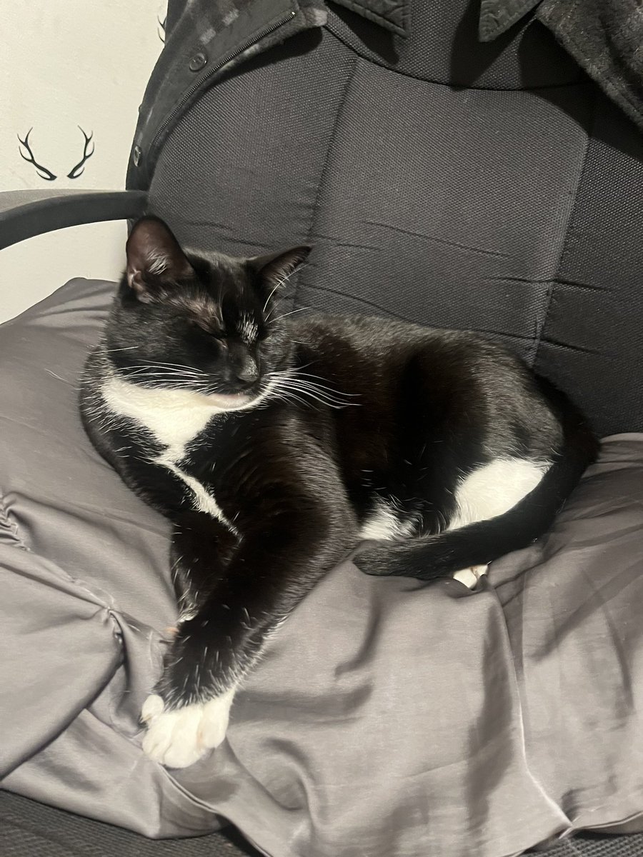 lucy doesn't pose as much but when she does, i take a chance to get a pic