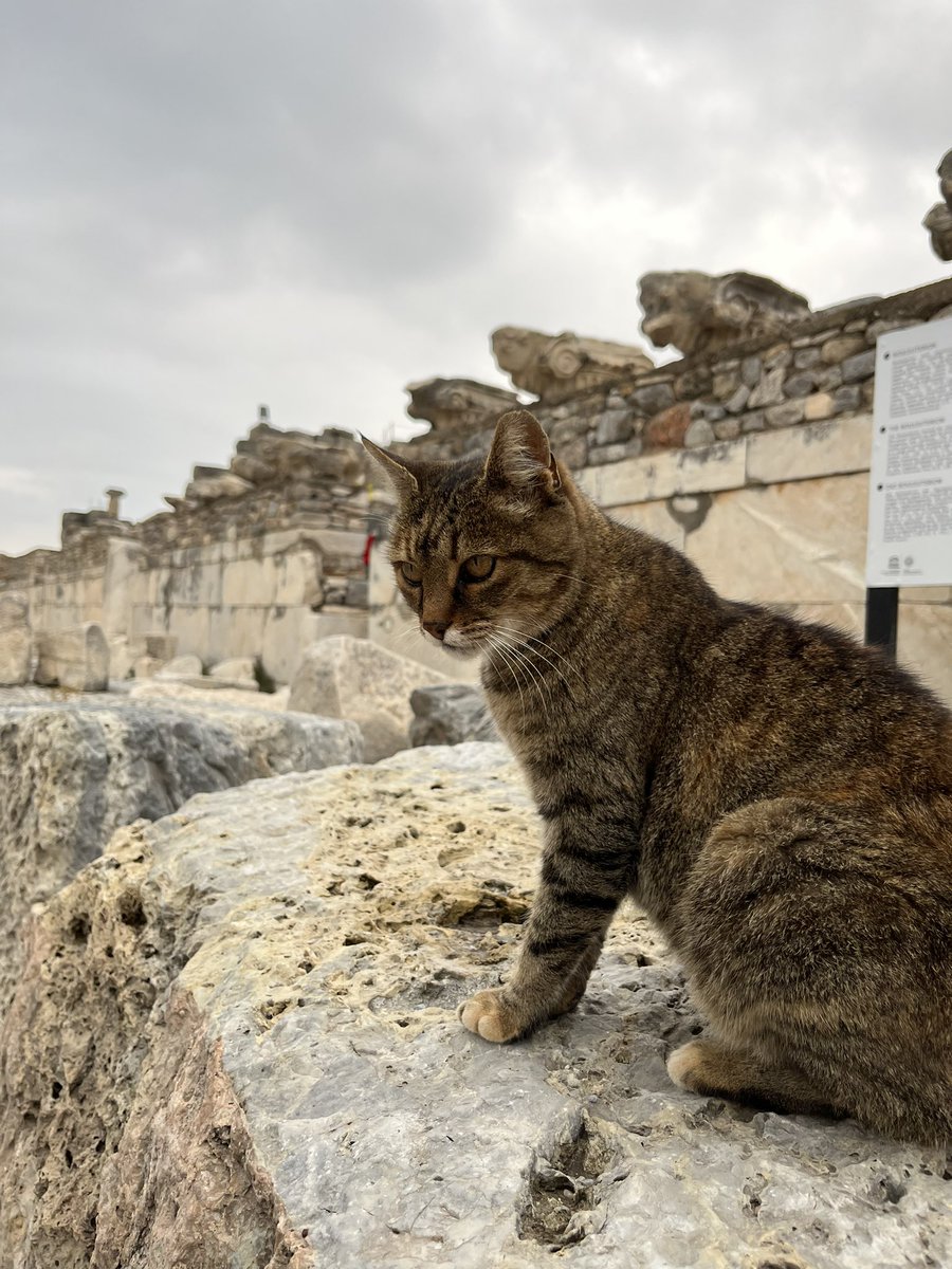 L4MEXCUSES's tweet photo. MENG TURKI

- a thread -

(meng kaisar penguasa kota yunani kuno ephesus dan prajuritnya, yg satu jualan aer) https://t.co/Hy3zWtHDUj