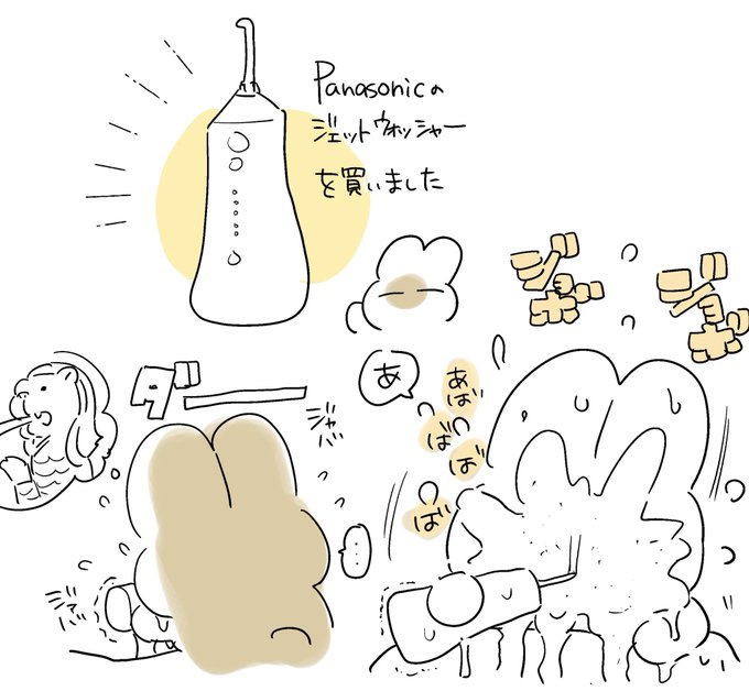 ジェットウォッシャー買って数日。翻弄されてます。 