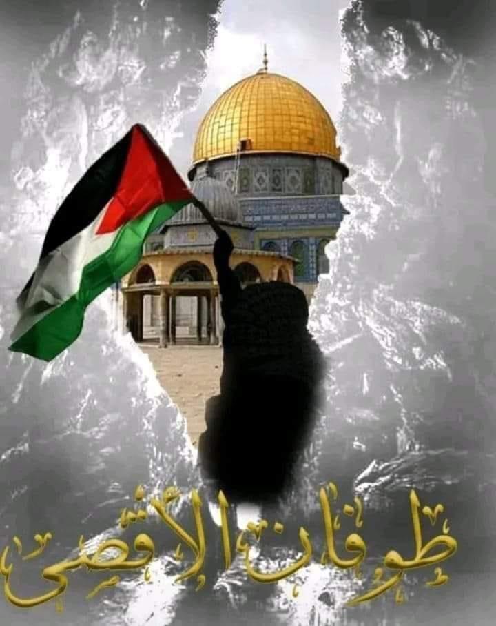 stc79578591's tweet photo. #فلسطين_الان https://t.co/2eie9Jab0A