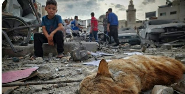 Çocukları korkmuş bir Dünya'nın denizi mavi olsa ne yazar, olmasa ne ..
#Filistin 🇵🇸