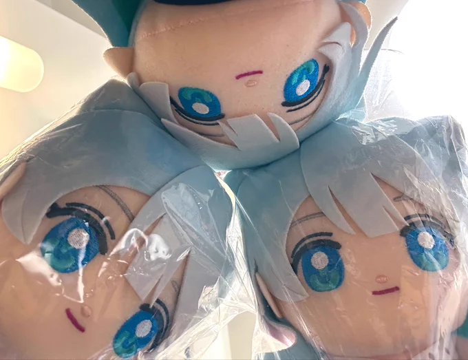 ガブちゃん届きました