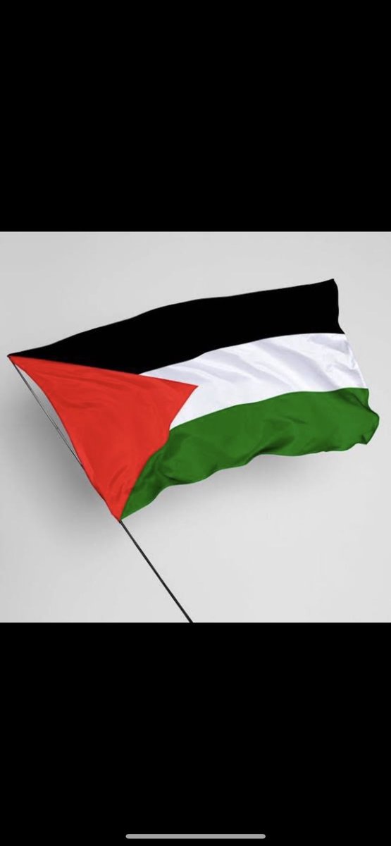 iamamirofficial's tweet image. Allah pls help Palestine 🇵🇸 🙏 😢 .