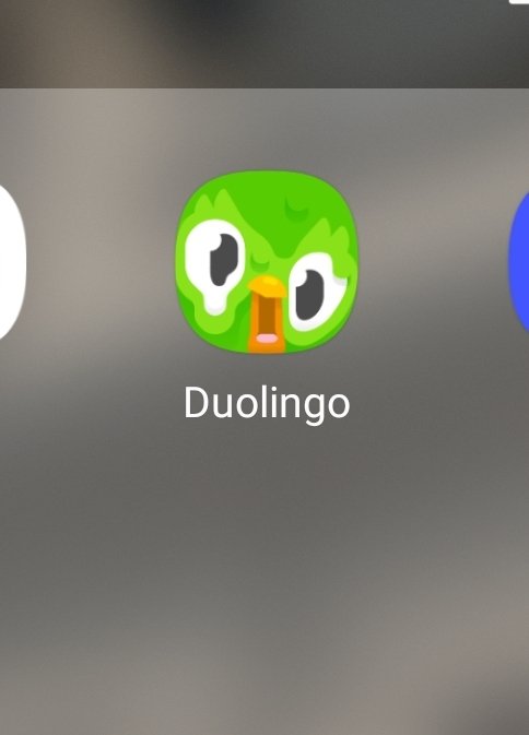 MrsWredota's tweet photo. czuję się jak moje Duolingo https://t.co/gqRhCcUQEf