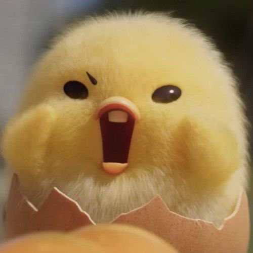 soheeppo's tweet image. sohee as 🐣