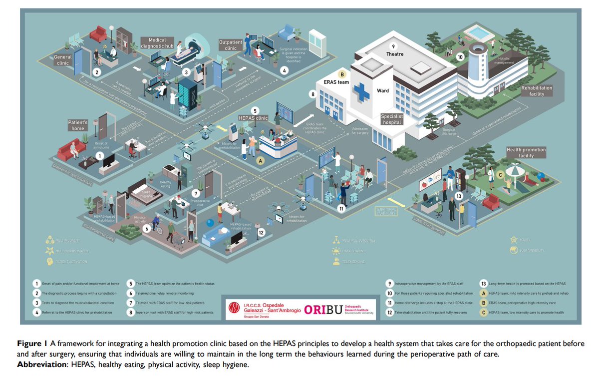 Congrats @BriguglioMatteo Great to collaborate again -> IJGM @DovePress Orthopaedic Surgery proposed as a touch point for encouraging pts to modify age-related illnesses through the optimisation of healthy eating, physical activity, & mental health. dovepress.com/why-treat-pati…