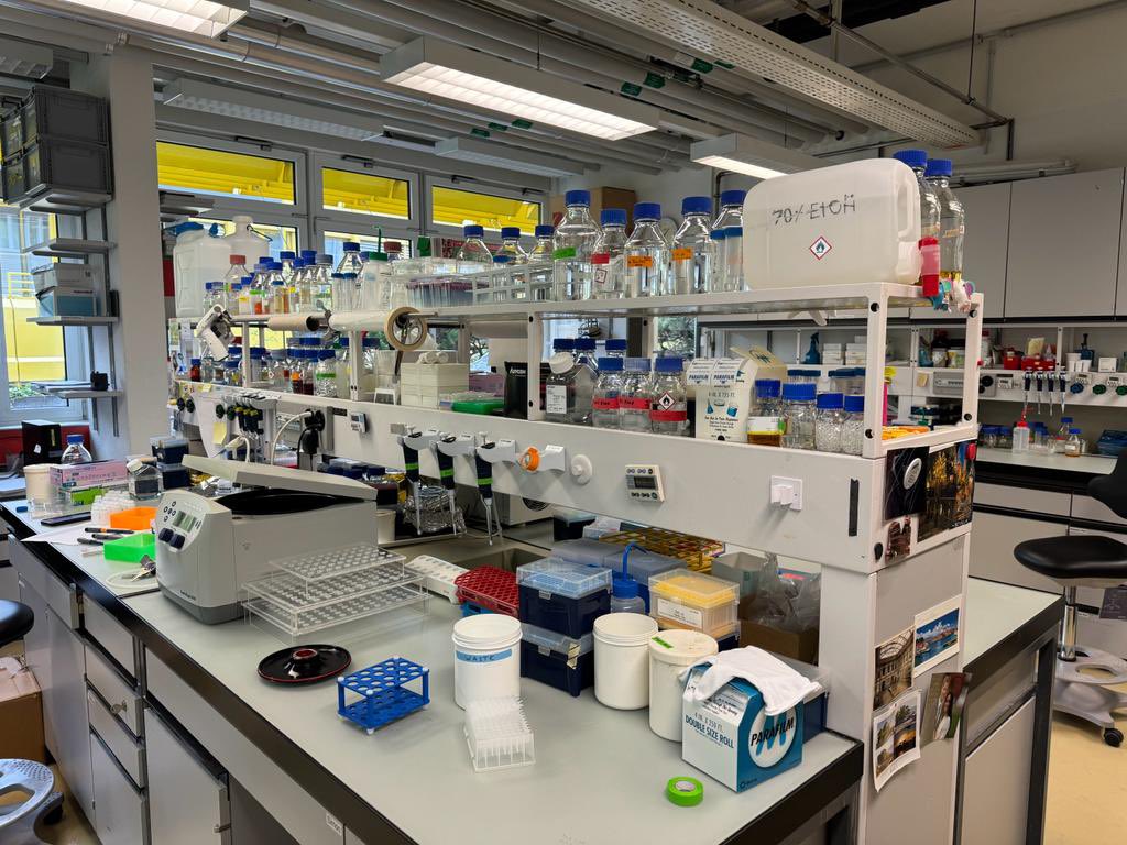 Eric Danquah (@ey_danquah) on Twitter photo Deep conversations with top scientists at the Institute of Agricultural Sciences <a href="/ETH/">ETH Zürich</a> open doors for strategic collaborations on modern platforms for cassava improvement and other areas. <a href="/wacci_gh/">WACCI</a> <a href="/UnivofGh/">University of Ghana</a> <a href="/MolecPlantBreed/">Mol. Plant Breeding</a> <a href="/studerbr/">Bruno Studer</a> Deep conversations with top scientists at the Institute of Agricultural Sciences <a href="/ETH/">ETH Zürich</a> open doors for strategic collaborations on modern platforms for cassava improvement and other areas. <a href="/wacci_gh/">WACCI</a> <a href="/UnivofGh/">University of Ghana</a> <a href="/MolecPlantBreed/">Mol. Plant Breeding</a> <a href="/studerbr/">Bruno Studer</a>