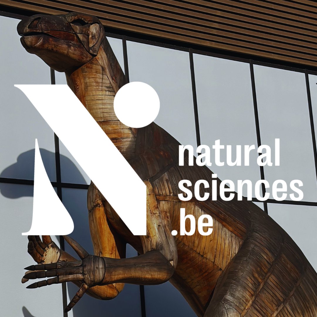 New name, new identity and new website : Welcome to the Institute of Natural Sciences! 🎉
#naturalsciencesbelgium