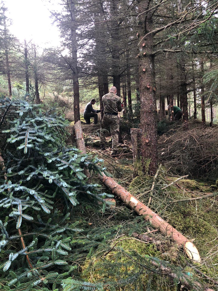 As part of the #globalchange initiative BKA #leadthecharge. Members of the company assisted @Balmoral_Castle rangers by removing non-native tree species which will provide new habitat for the endangered #capercaillie in the @cairngormsnews #jointhecharge @The_SCOTS @ASengaged