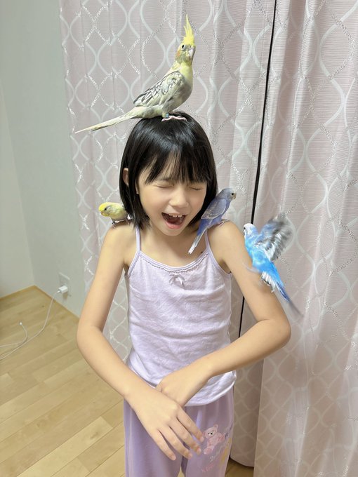 ゆとりのTwitter画像3