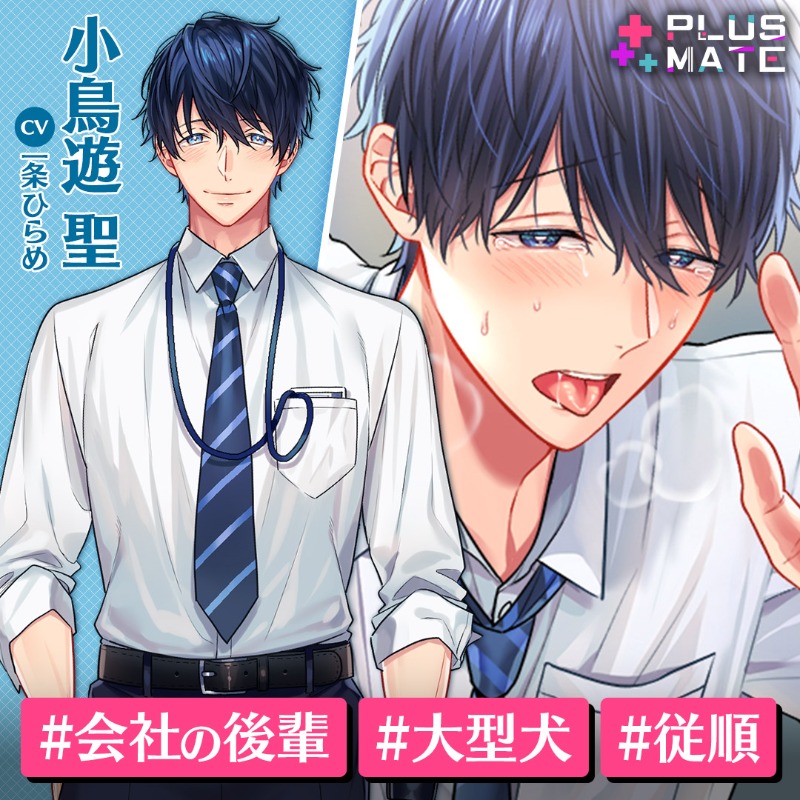 公式】PLUSMATE【プラスメイト】 on X: 