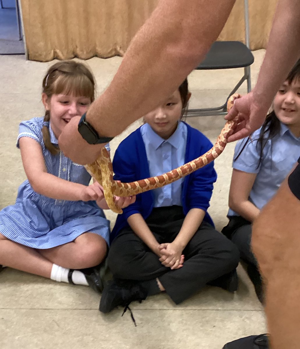 westieoldhall's tweet photo. Science was brought to life in Year 4 as they met and handled an array of fantastic animals! You can read more about it here...https://t.co/sGHpsdUREN #westbrookoldhall #dylansreptiletime #bringingsciencetolife https://t.co/RiDiUYWERB