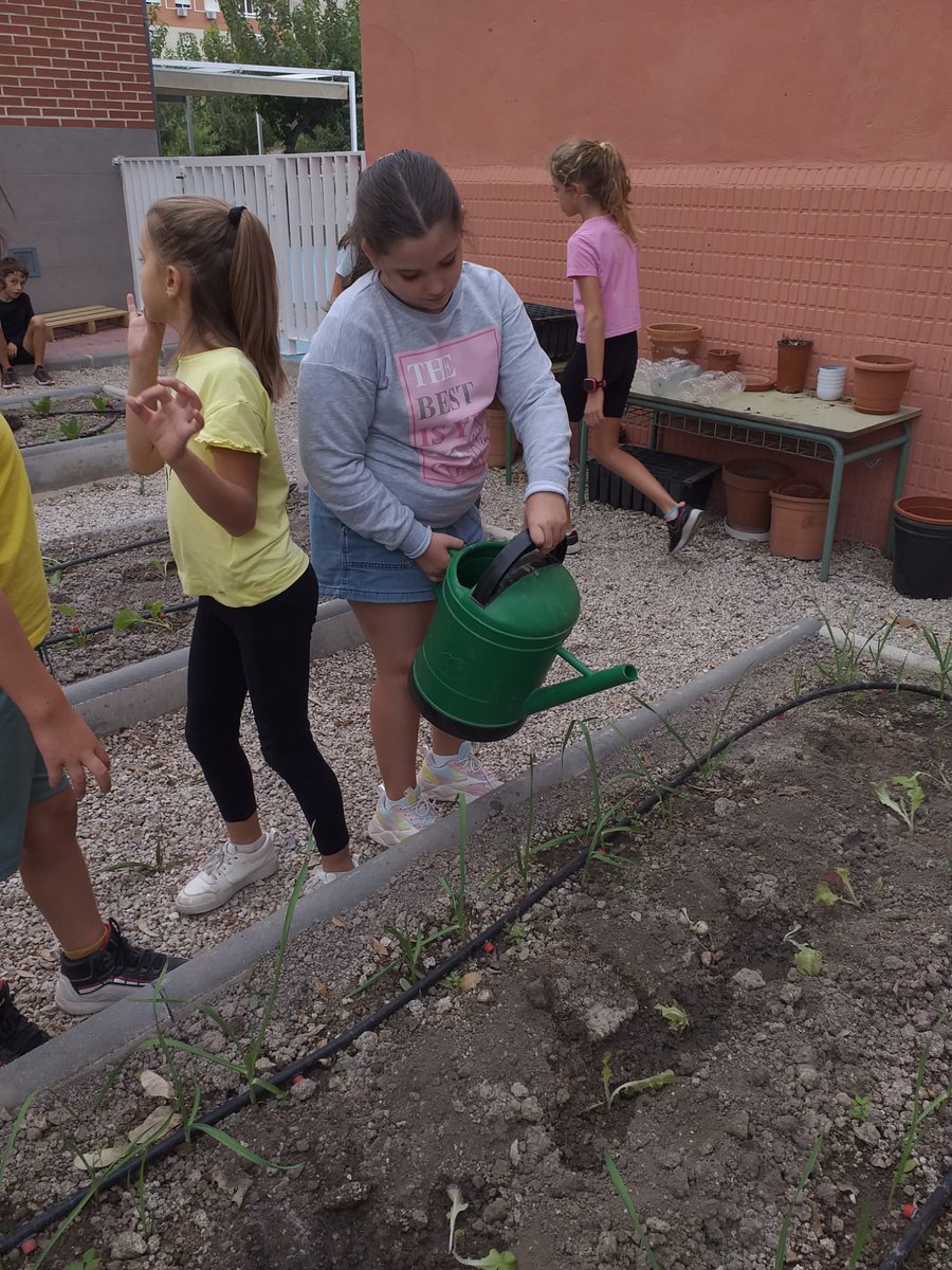 Nuestro huerto ya tiene sus plantaciones para este trimestre ,ahora a cuidarlas para recoger <a href="/6Rodri79/">Rodri</a> <a href="/murciaeducadora/">Murcia Educadora. #MurciaMiCiudadEnseña</a> <a href="/AytoMurcia/">Ayuntamiento de Murcia</a> <a href="/cristinaportil5/">Cristina Portillo Muñoz</a>