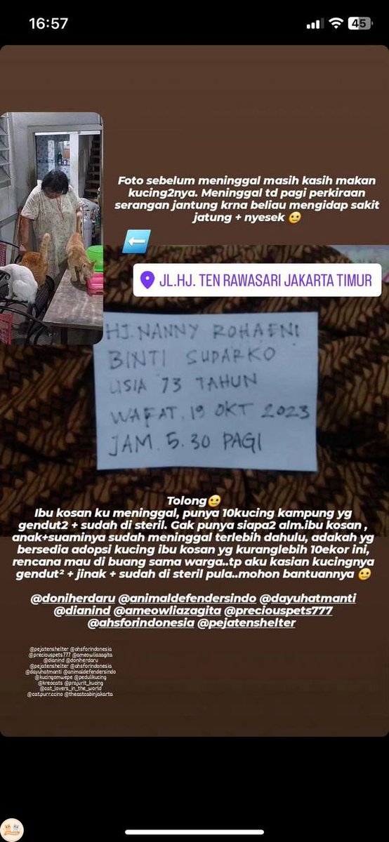 kochengfs's tweet photo. Halooo semuanyaa!! Aku mohon perhatiannya!! Tolong banget kalo ada yg mau ADOPT 🐈 kalian bisa cek postingan ini.. please mereka kasian butuh adopter 😭😭 Untuk info lebih lanjut bisa dm ke ig @./baekdoopcy❕ https://t.co/1adJKSQpl7