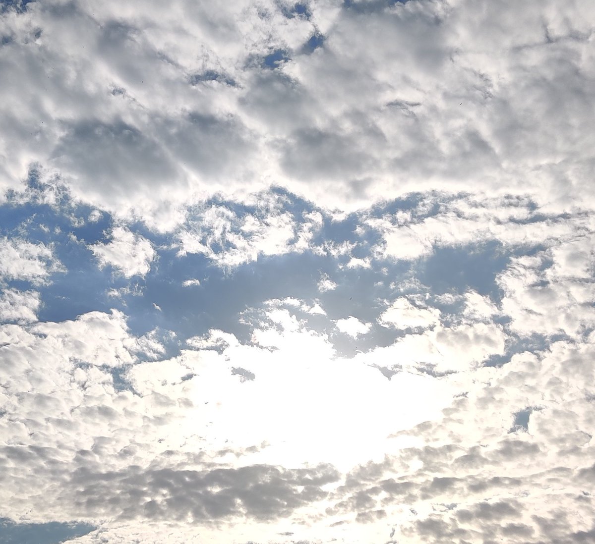 Busted Ride Daily Vanity Plate Ideas tweet media