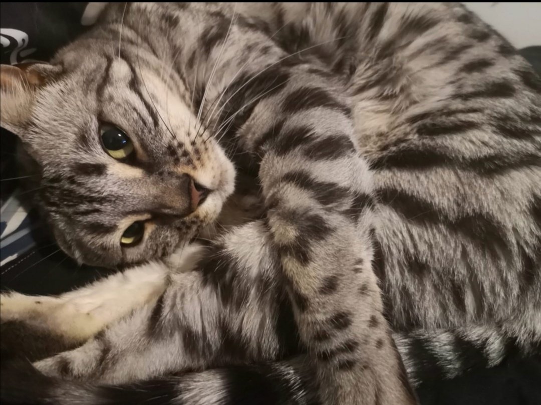 Goooood Morning #FungiFam 🍄☕

I sincerely hope you all are waking up feeling #Great &amp; #Grateful on this beauty #ThursdayMorning 

Another chance to level up and be the best version of yourself 💯

Get after it .. and have a killer day 
#FHC