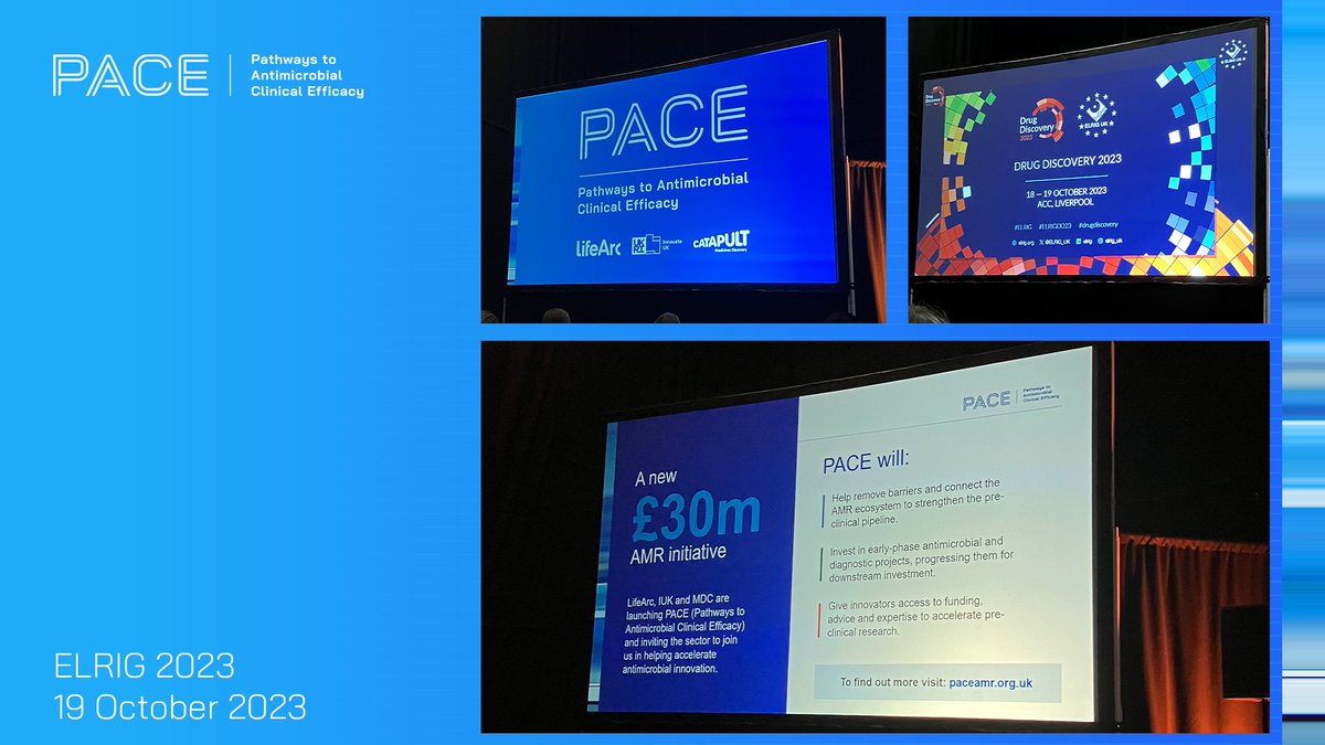 PACE_AMR's tweet photo. PACE initiative launched today with a plenary keynote - The AMR Therapeutic Landscape and Reasons to Believe - Dave Powell, @LifeArc1 presentation at @ELRIG_UK this morning. 

@innovateuk @MedDiscCat
#DrugDiscovery23 #AMR #Collaboration https://t.co/Xd8seT7vmS