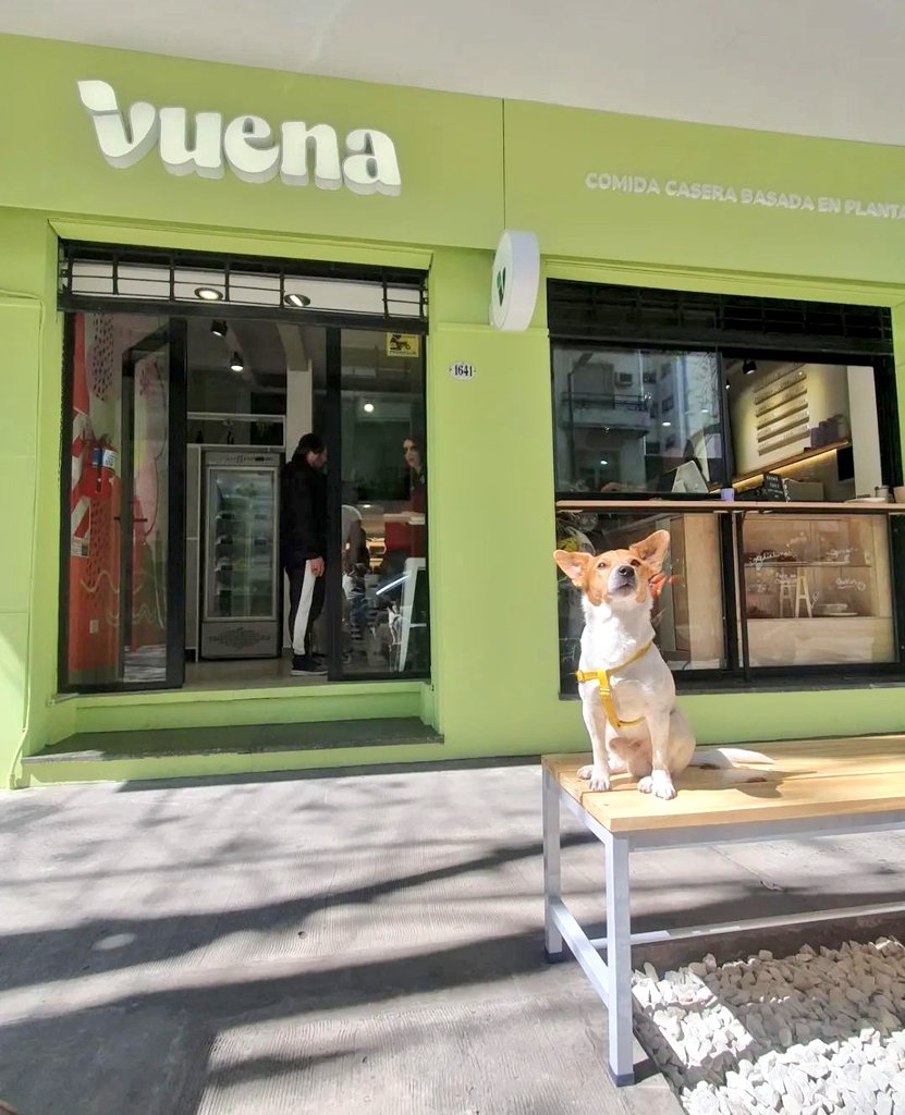 Veganoyo 🌱 tweet media