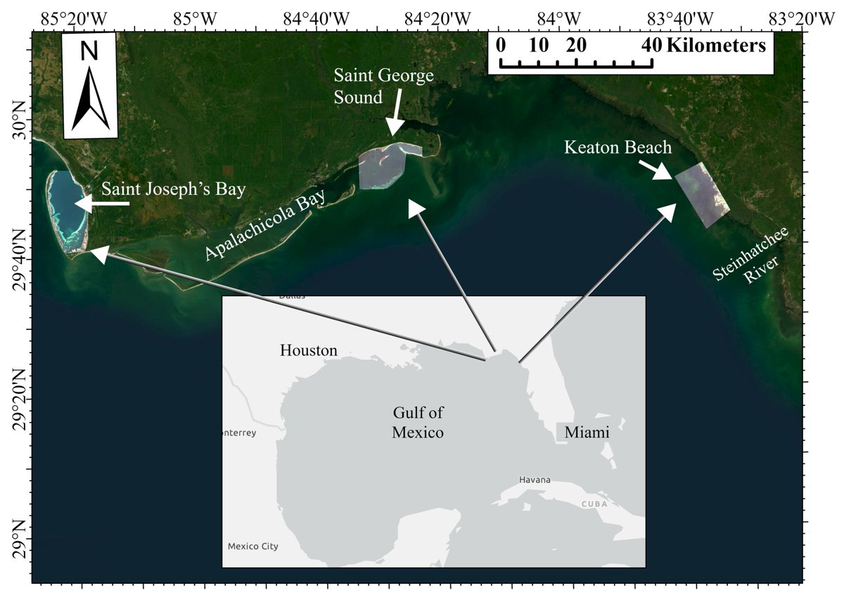 RemoteSens_MDPI's tweet photo. #lastestpaper
📢Impact of #AtmosphericCorrection on Classification and Quantification of #Seagrass Density from WorldView-2 Imagery by Victoria J. Hill, Richard C. Zimmerman, Paul Bissett, David Kohler, Blake Schaeffer et al
👉Read the full article: https://t.co/nEWnDtFbrV https://t.co/42YNffPDV4