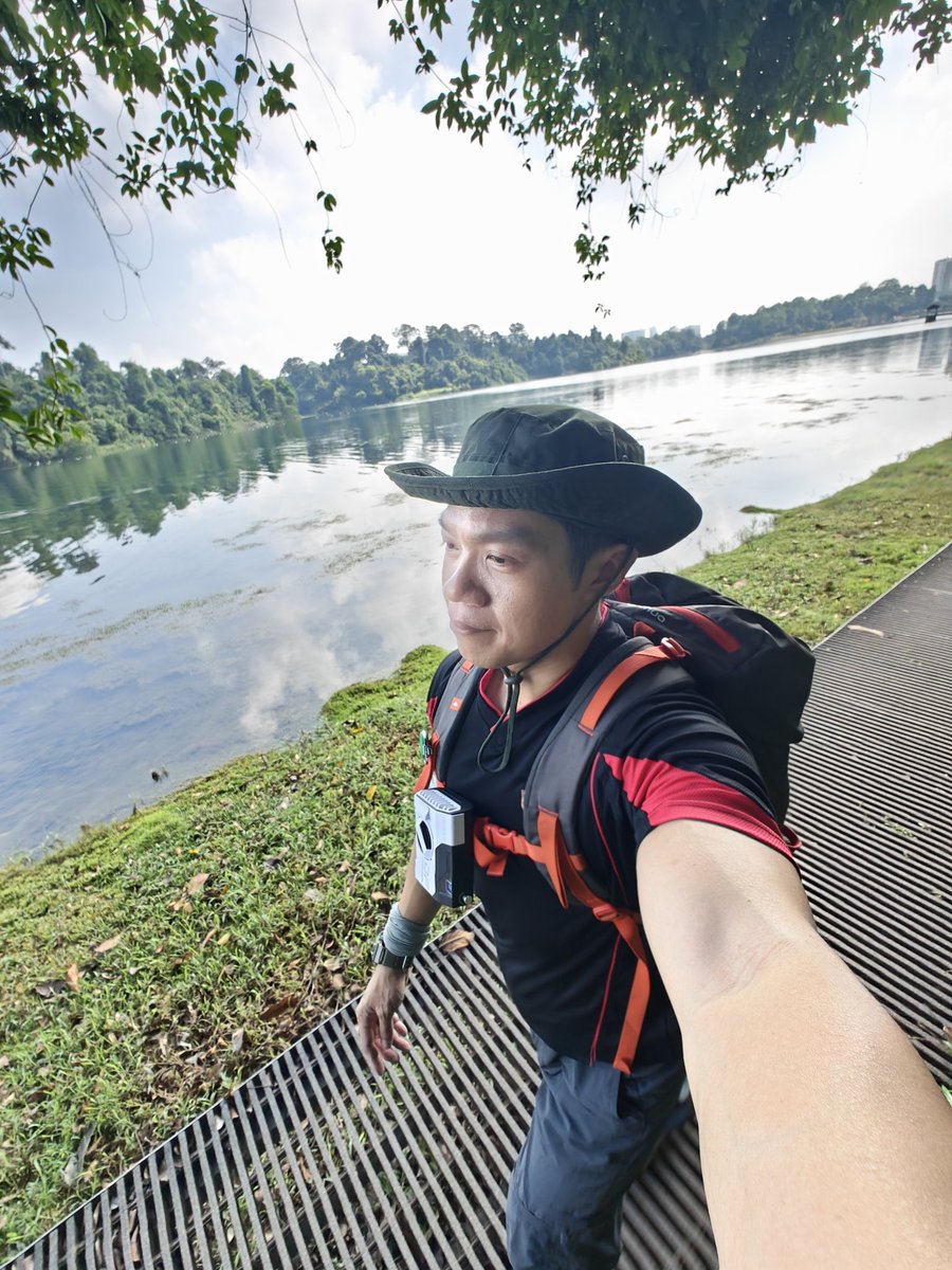 BugCatcher_Mao tweet media