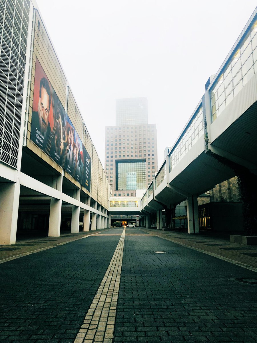 Stephanie Jackson tweet media