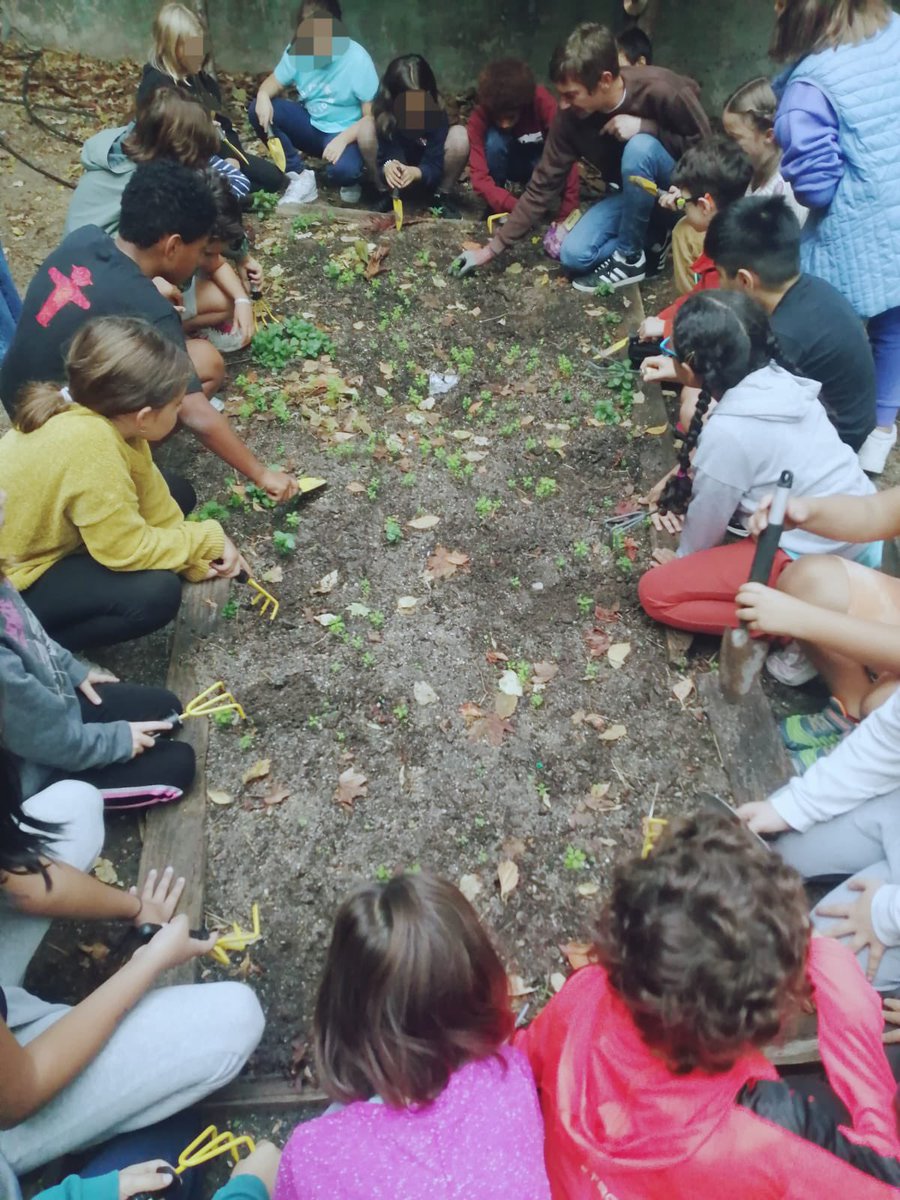 Tenemos talleres en nuestro huerto con cada clase, aquí 3º de primaria. <a href="/LaPalomaCEIP/">CEIP La Paloma</a>