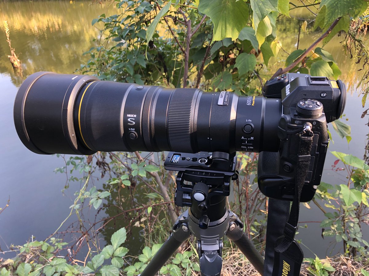 Z663試用した。レンズが期待通り良いのはもちろんなんだけど、それより