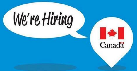 The Embassy of Canada to Lebanon has two job openings. Do you want to be part of the team? Apply now by clicking on the following link: staffing-les.international.gc.ca/en/search/?ter…
Good luck!