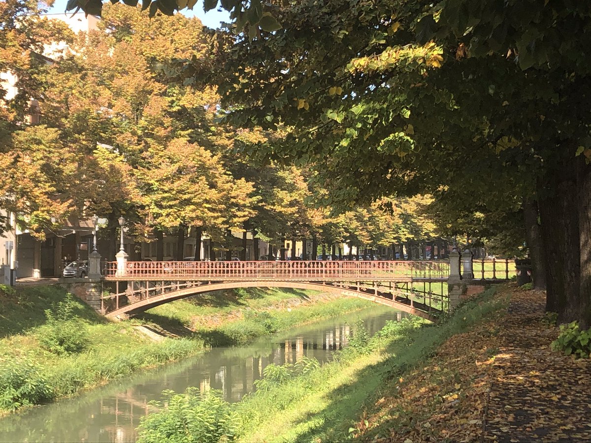 Guten Morgen ☕️💕 genießt heute einen schönen Tag  🌻
☀️ Es ist so viel schönes Licht in der Welt ☀️🍂☀️🍂☀️🍂
Wilhelm Rabe