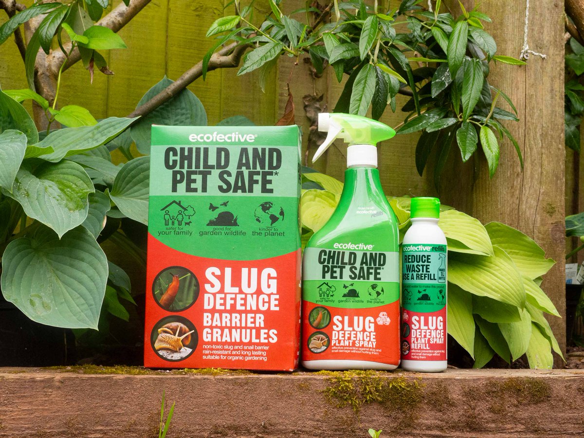 🐌ecofective® Slug Defence Barrier Granules deter the slugs from getting physically to your plants.
↪️whereas ecofective® Slug Defence Plant Spray creates an invisible natural barrier that makes the plant less palatable
Find out more here - loom.ly/TwvD59M
