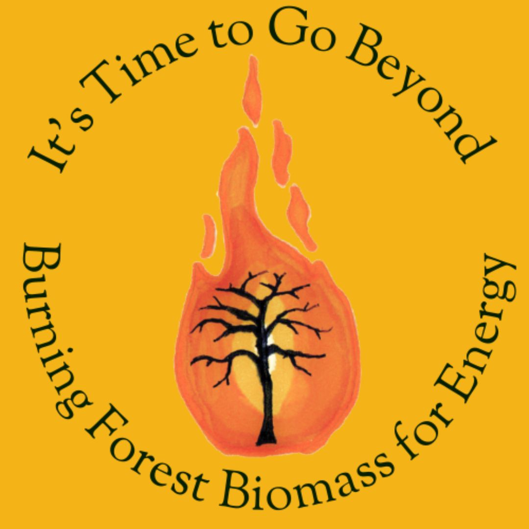 🔥🌳📢 @UNFCCC  It's time to Go Beyond Burning Forest #Biomass For Energy!  

⛔️ Stop Hiding #Emissions of Forest Biomass Energy!  Don't let our Future Go Up in Smoke!

#BigBadBiomass  #CutCarbonNotForests  #ForestsAreNotFuel #COPStopTheChop #COP28 🔥